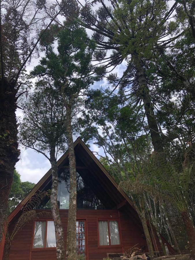 A Cabana Sao Chico São Francisco de Paula Esterno foto