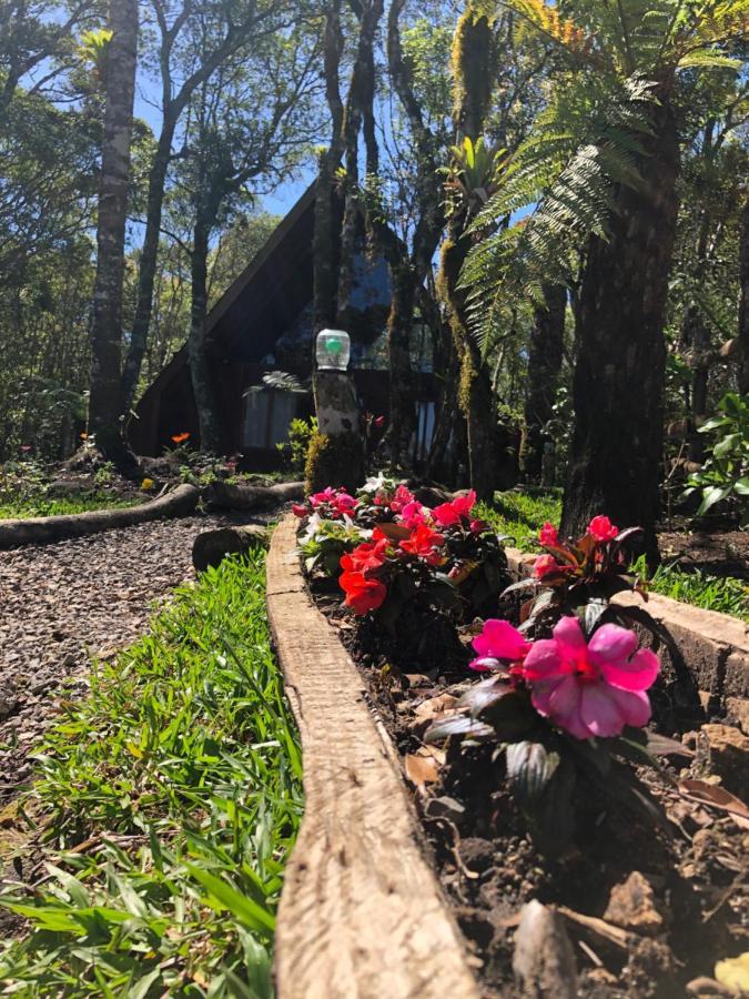 A Cabana Sao Chico São Francisco de Paula Esterno foto