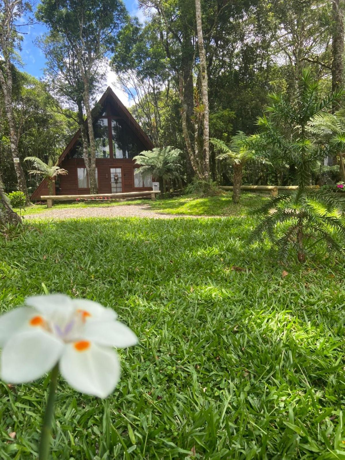 A Cabana Sao Chico São Francisco de Paula Esterno foto